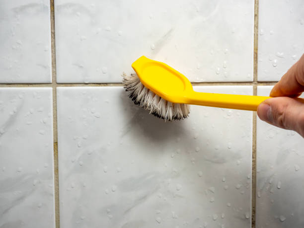 Best Post-Flood Mold Remediation in Bryan, TX