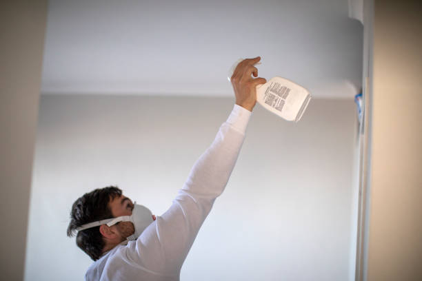 Best Post-Flood Mold Remediation in Bryan, TX