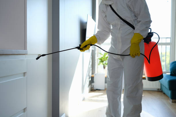 Best Emergency Mold Remediation in Bryan, TX